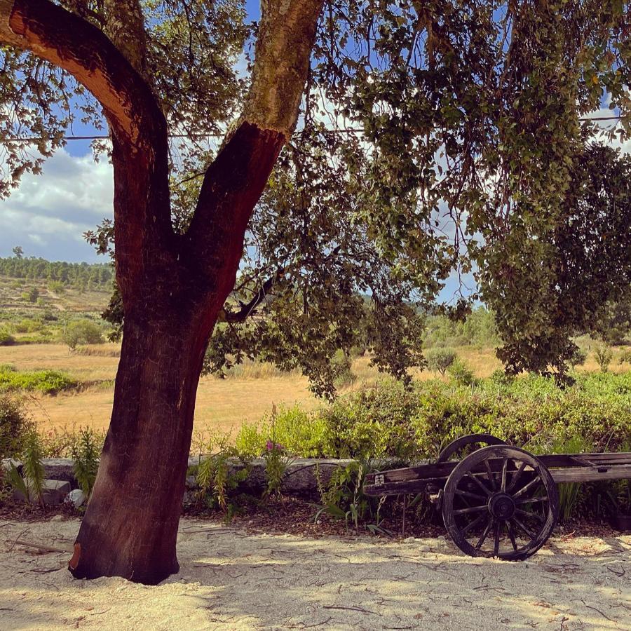 فندق Quinta Da Corga Prova المظهر الخارجي الصورة